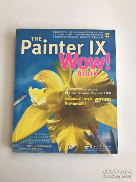 THE Painter IX WOW BOOK