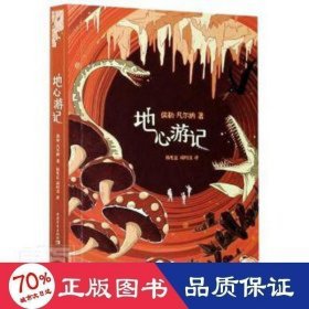 地心游记(盒装全8册) 外国现当代文学 (法)儒勒·凡尔纳 新华正版