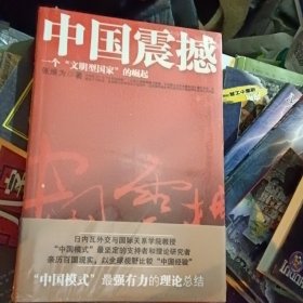 中国震撼：一个“文明型国家”的崛起