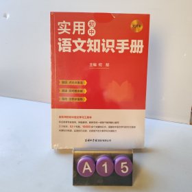 实用初中语文知识手册(大开本)