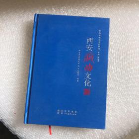 西安地域文化丛书 (西安戏曲文化)精装本