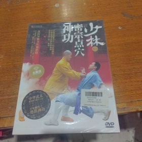 少林密宗点穴神功DVD