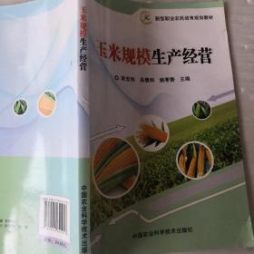 玉米规模生产经营