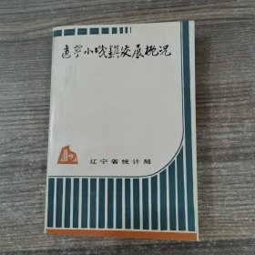 遼寧小城鎮(zhèn)發(fā)展概況