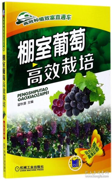 棚室葡萄高效栽培