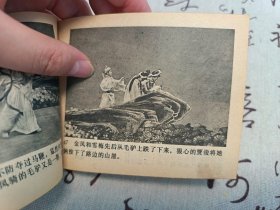 凤落梧桐