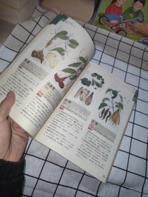 本草纲目：本草纲目（精华本）