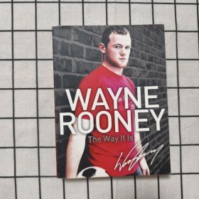WayneRooney:TheWayItIs