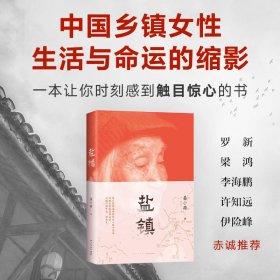 【正版库存书】中国当代纪实文学：盐镇