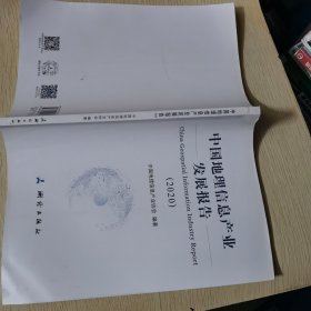 中国地理信息产业发展报告——2020