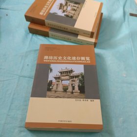 潍坊历史文化遗存概览(潍坊民俗文化丛书)
