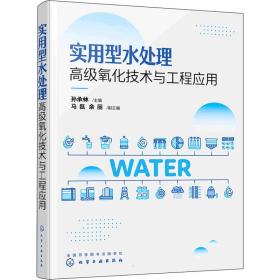 实用型水处理氧化技术与工程应用 环境科学 作者 新华正版