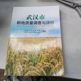 武汉市耕地质量调查与评价