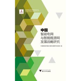 中国智能电网与智能能源网发展战略研究  中国智能城市建设与推进战略研究