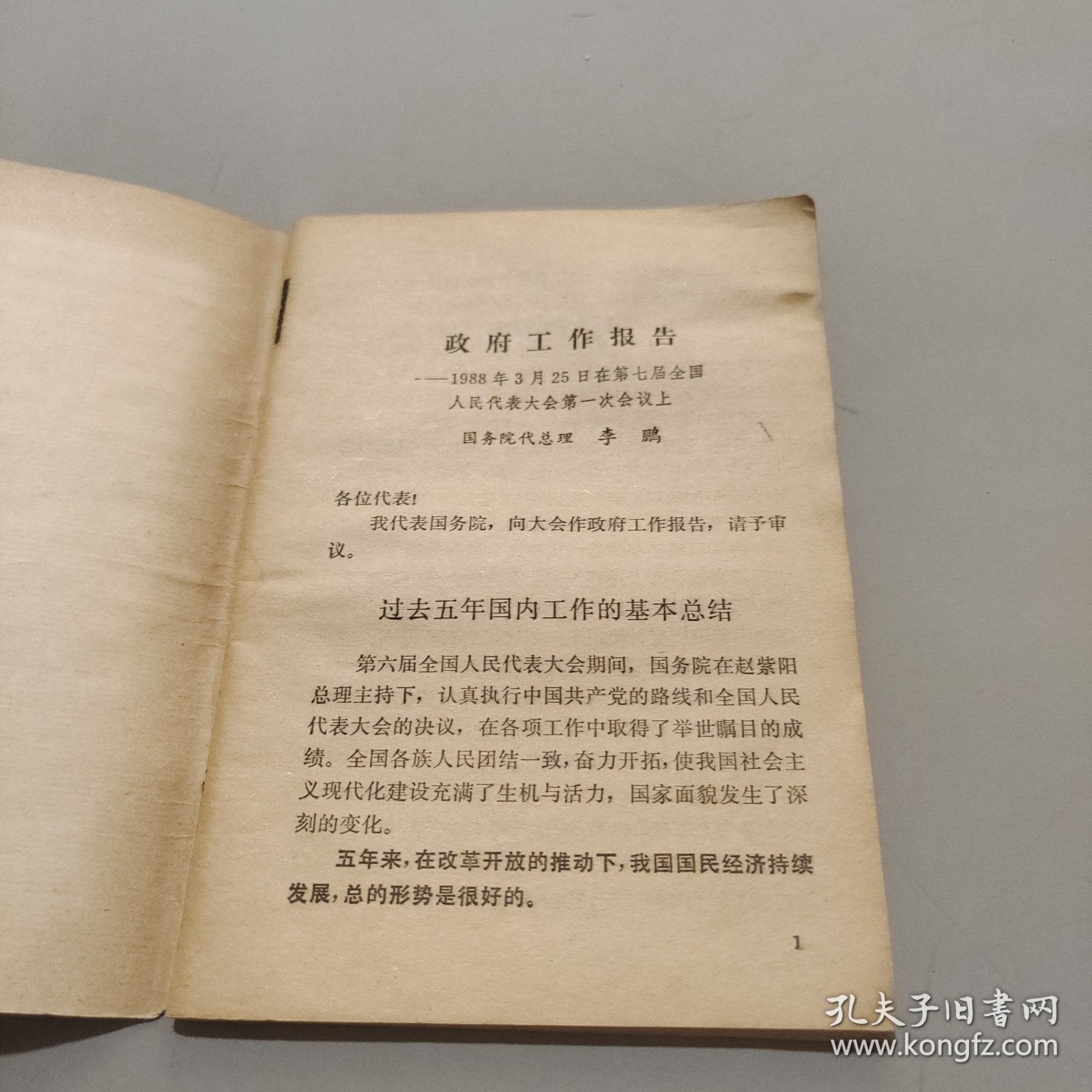 政府工作报告