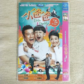 DVD-9 大型都市情感电视连续剧 小爸爸 Little Daddy 2碟装完整版