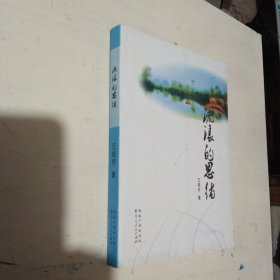 流浪的思绪