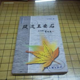 風(fēng)流王安石（新世紀(jì)文學(xué)叢書）