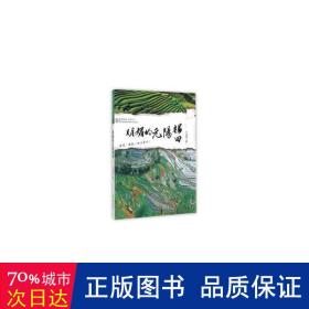 明媚的元陽梯田/跟著本書游天下 旅游 王成林