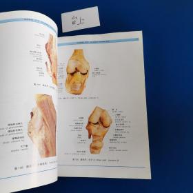 人体解剖学标本彩色图谱（第2版）