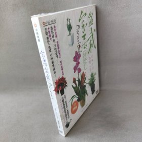 【库存书】家居盆栽（DVD）水晶版