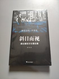 斜目而视：透过通俗文化看拉康