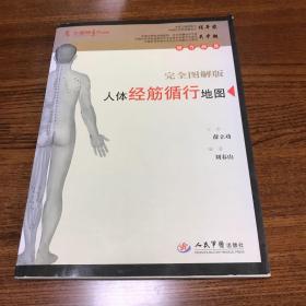 人体经筋循行地图