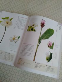 花艺设计花材使用手册