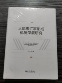 人民币汇率形成机制深度研究 丁剑平等著