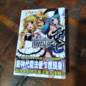 平凡职业造就世界最强 3