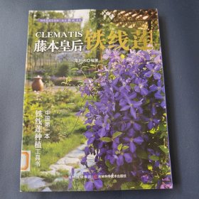 藤本皇后鐵線(xiàn)蓮