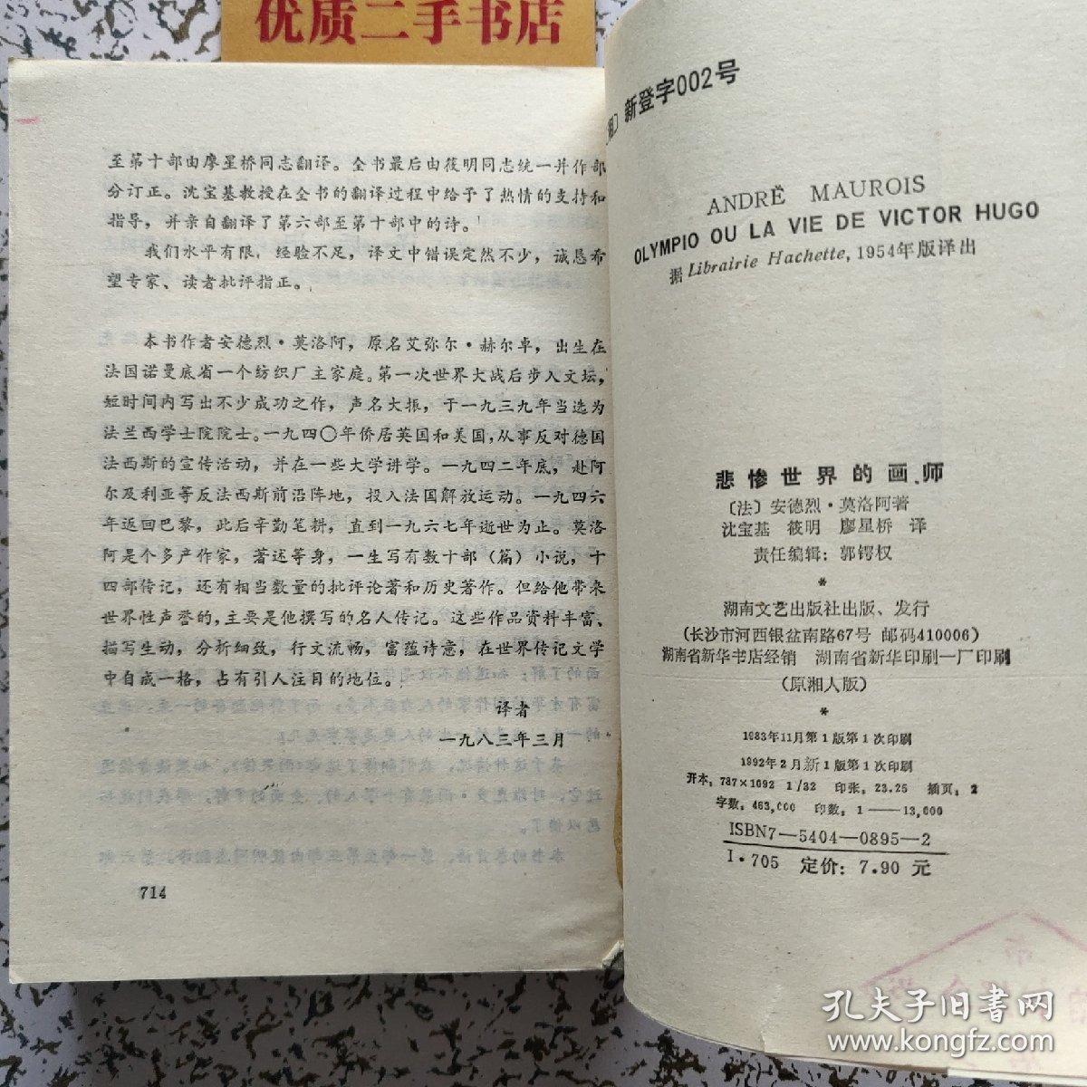 悲惨世界的画师：雨果传