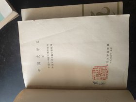 中国文学史（二 三册）