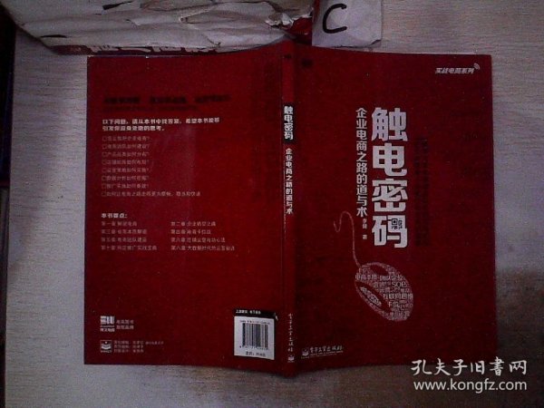 实战电商系列·触电密码：企业电商之路的道与术（全彩）