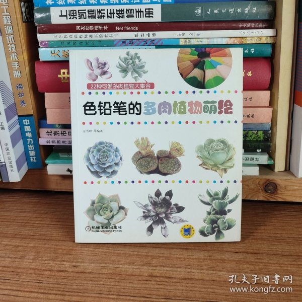 色铅笔绘画系列：色铅笔的多肉植物萌绘