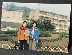 《彩色照片》（青春）