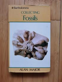 Collecting  Fossils