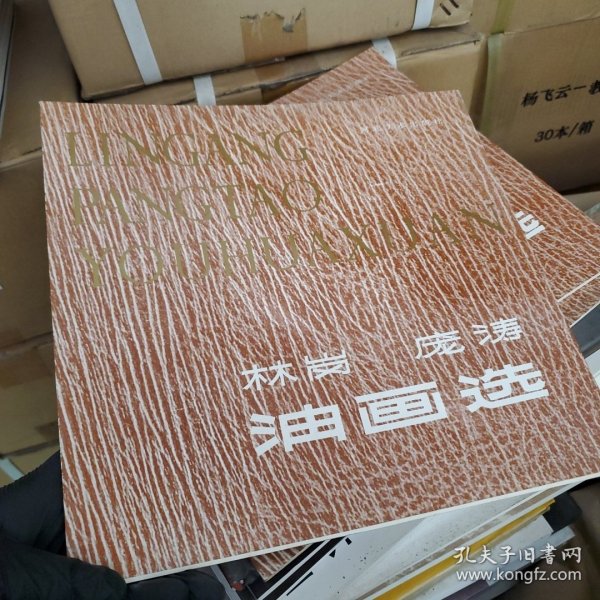 林岗庞涛油画选