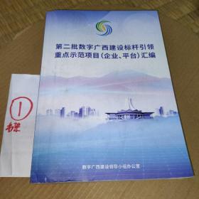 第二批数字广西建设标杆引领重点示范项目（企业、平台）汇编