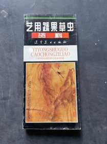 艺用蔬果草虫资料