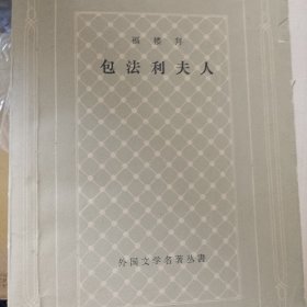 （网格本）包法利夫人
