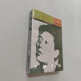 王朔文集 挚情卷