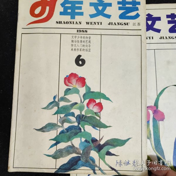 江苏版少年文艺1988年6，单本，金昱冬，黄小波，秦文君，周锐，沈石溪，林非，照片或作品