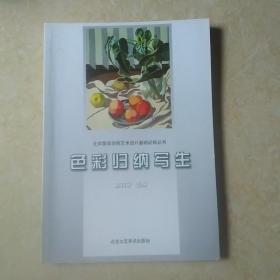 色彩归纳写生——北京服装学院艺术设计基础训练丛书