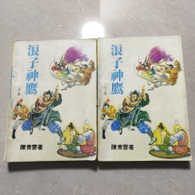 浪子神鹰（上下）