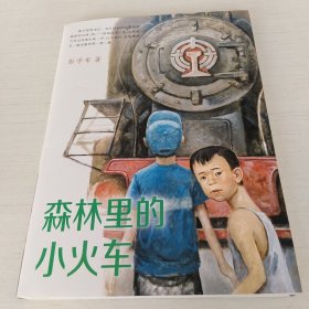 彭学军作品 男孩不哭组合 森林里的小火车