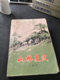 山林支队（下）