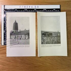 1926年出版物老照片印刷品——东北4张【正背面】[CA04+A0079]