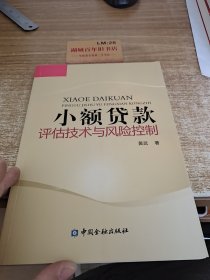 小额贷款评估技术与风险控制