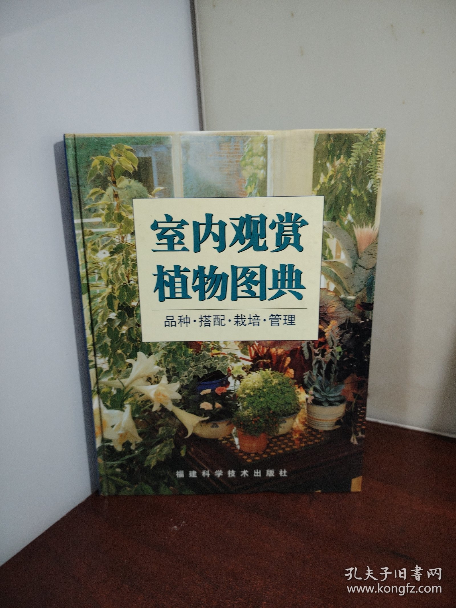 室内观赏植物图典：品种搭配栽培管理